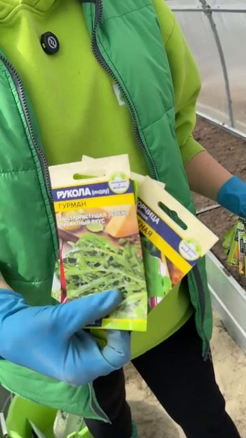 ЧТО МОЖНО ПОСЕЯТЬ УЖЕ СЕЙЧАС