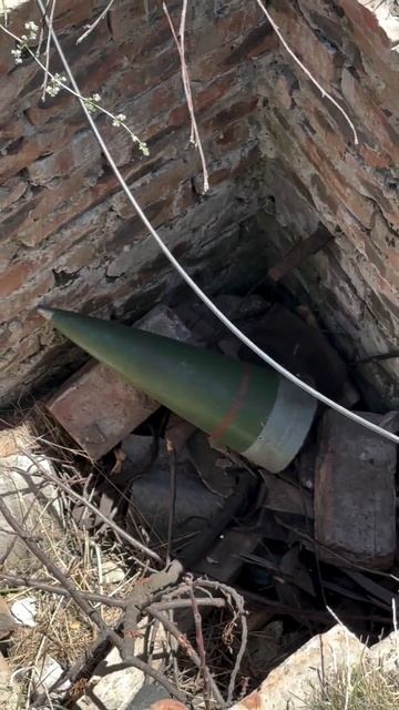 Mr.SOLOVEI | Поддержка наших #shorts