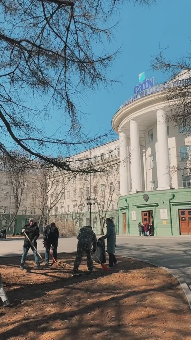 Субботник | Главный корпус САФУ