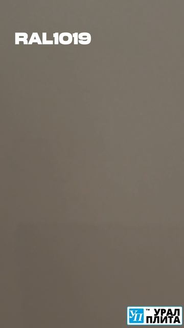 RAL1019