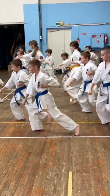 Кёкусинкай / Тайкёку соно ни / Скользящий шаг / Сихан Фомин В.П. (14.03.26) #54