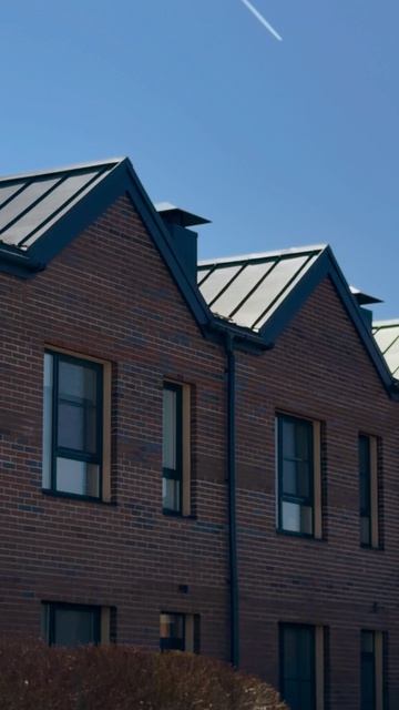 НАСТУПИЛО 🌱😌 ВРЕМЯ ДЛЯ ДОЛГИХ ПРОГУЛОК