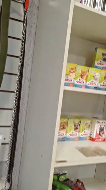 🎊🎈Сегодня произошло ещё одно радостное событие в жизни 