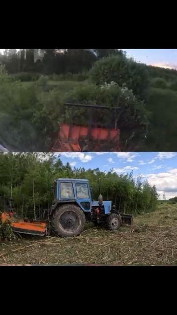 Мульчирование березняка