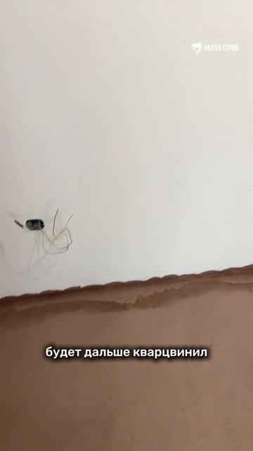 Обзор объекта: Кандинского, 6 #акуластройсчастьепострой #ремонт #вседляремонта #рек