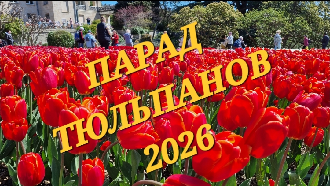 КРЫМ, ПАРАД ТЮЛЬПАНОВ