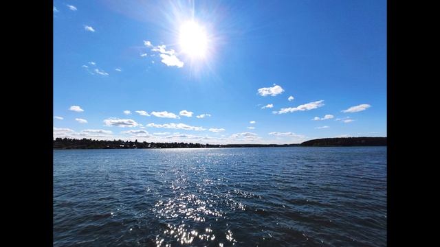 Юнна Мориц. Элегия