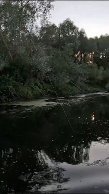 Ух какой щукарь попался