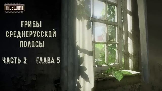 Грибы Среднерусской полосы. Часть 2 - Владимир Корн. Аудиокнига постапокалипсис. Выживание. Ласт