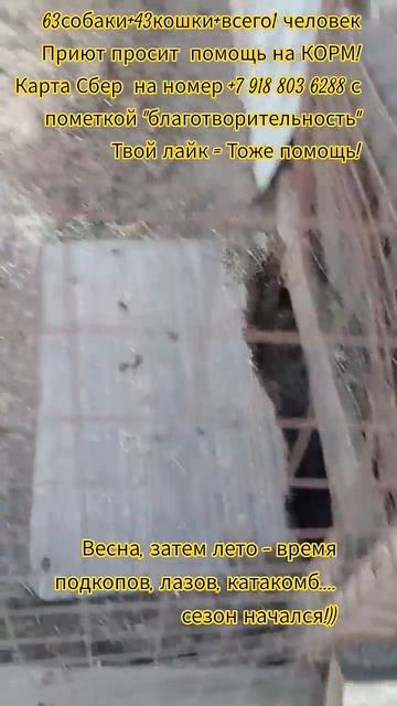 НАС107=106хвостиков  +1человек!