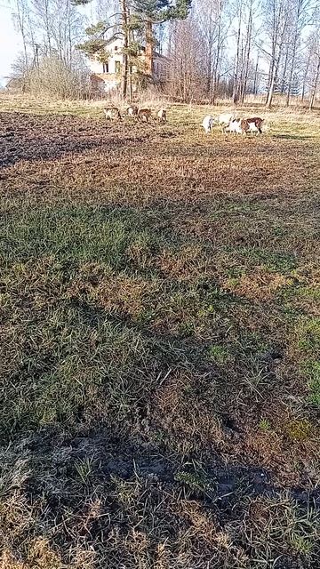 17.04.26 Гуляем