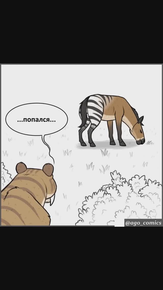 Лютые мемы. Дает советы