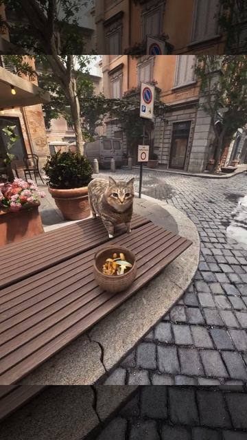 Тренд #рутуб #абаюдна #детям #мультик #топ