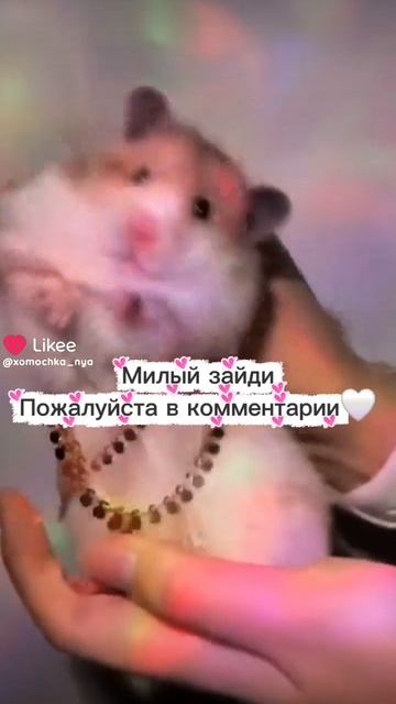 Зайди в комм