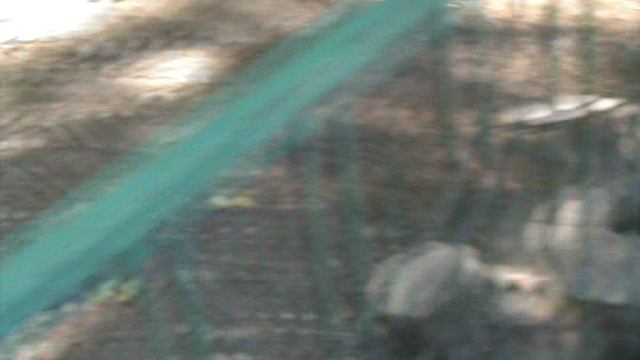 15)Б ПАРК ПОБЕДЫ ЗООПАРК