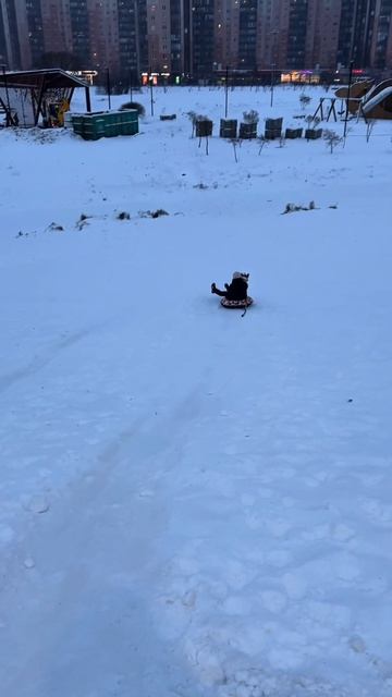 Кажется Коржу не очень понравился активный отдых. Но думаю привыкнет