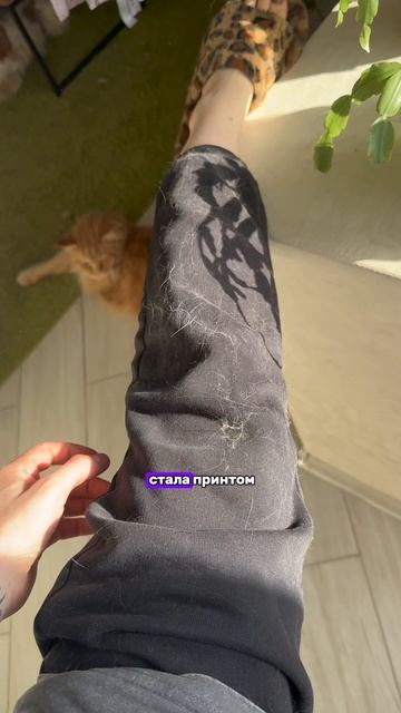 Завели бы такую крошку?❤️