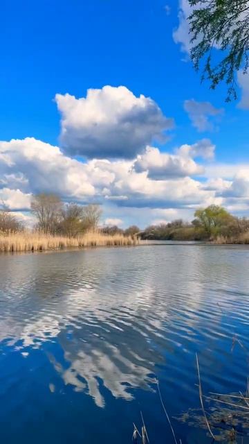 На речке Кагальник💦☀️🌱