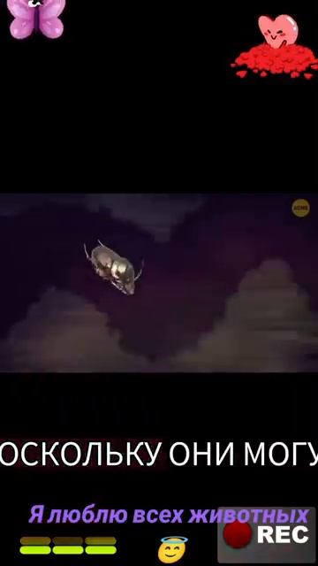 Животные-приколы и не только😉😅