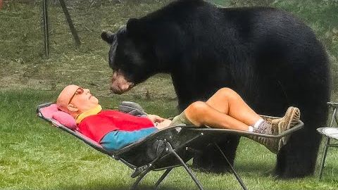 ЖИВОТНЫЕ НЕ ЗНАЛИ, ЧТО ВО ДВОРЕ БЫЛА КАМЕРА, И СДЕЛАЛИ ЭТО