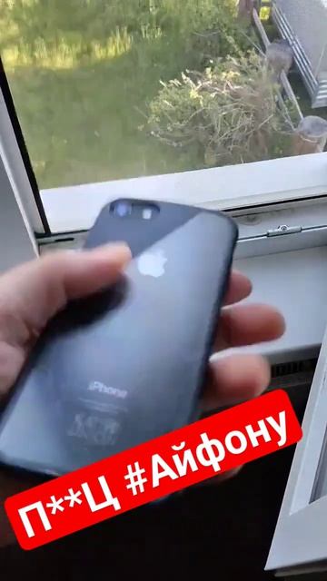 195. #wylsacom и #iphone