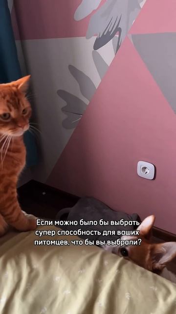 Пишите в комментариях