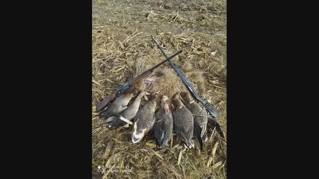 ОХОТА НА ГУСЯ, ХОРОШИЙ ДЕНЬ