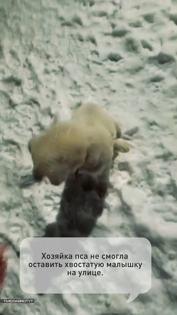 А вы верите, что одно доброе дело может изменить мир?