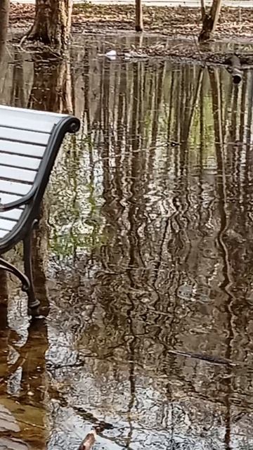 Самое романтичное место