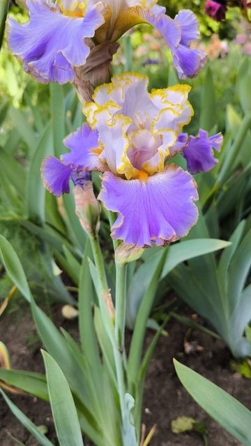 ОУШЕНС ЭДЖ / OCEAN'S EDGE (М.Саттон 2019).mp4