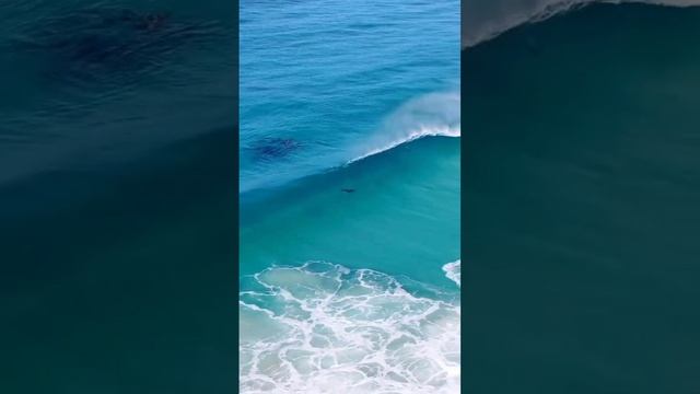 круто сёрфинг.mp4