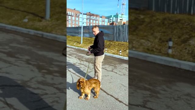 Учимся ходить рядом!