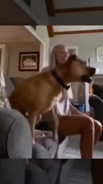 Истинный фанат👏))