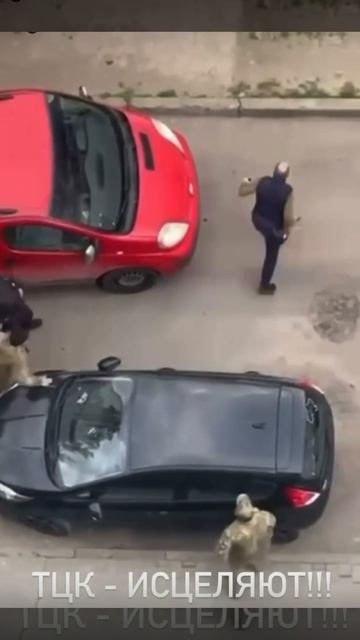 УКРАИНА. БУСИФИКАЦИЯ. ТЦК ЗАПОДОЗРИЛИ ПОДЛОГ.