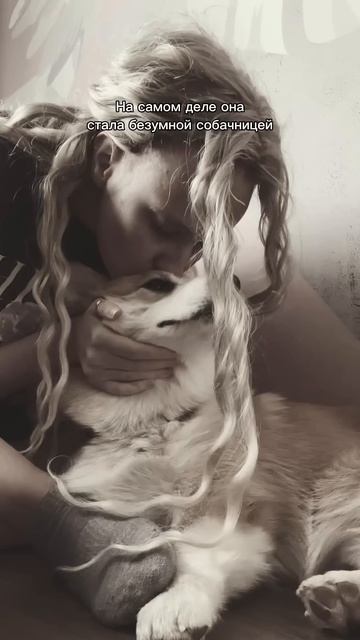 Подписывайся, чтобы не пропустить коржедень #корги #смешныевидео #corgi #шортс #dogsoftiktok #shorts