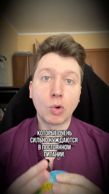 Пьешь чай вместо воды? Большая ошибка!