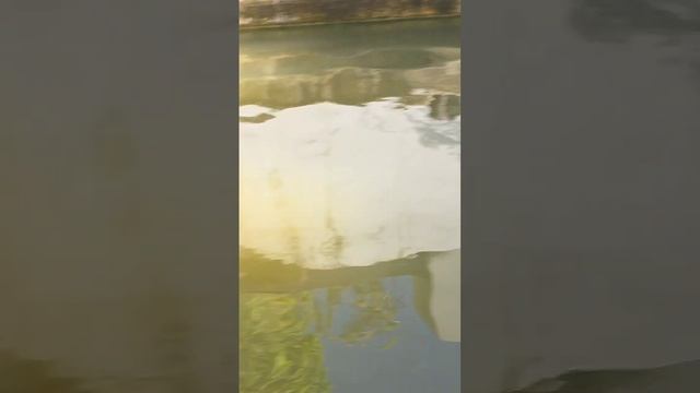 Португалия: Начало исследований Пути Преодоления Разломов в судьбахЕвроп.нардов,15.04.МаринаКолесник