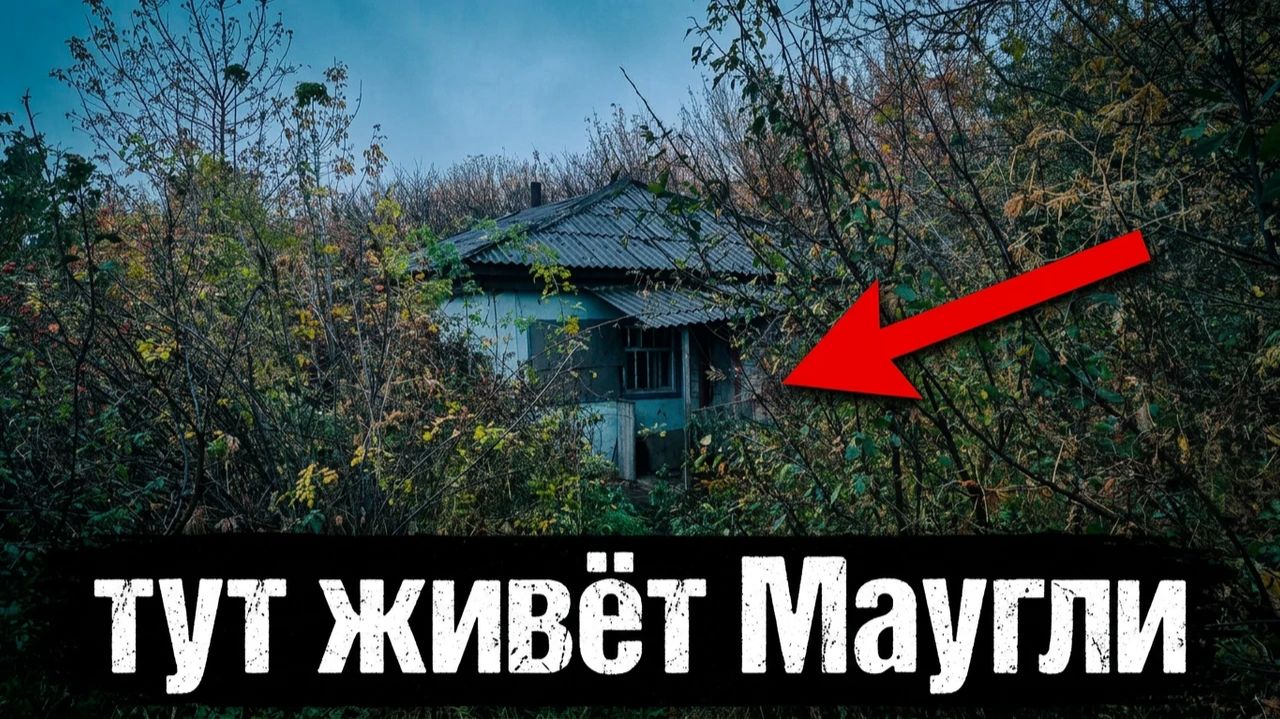 Больше не просите ему помочь... | Орловская обл. Орёл - Ливны