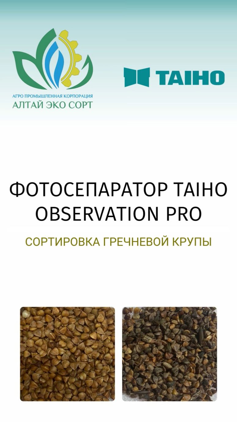Сортировка гречневой крупы на фотосепараторе TAIHO Observation PRO