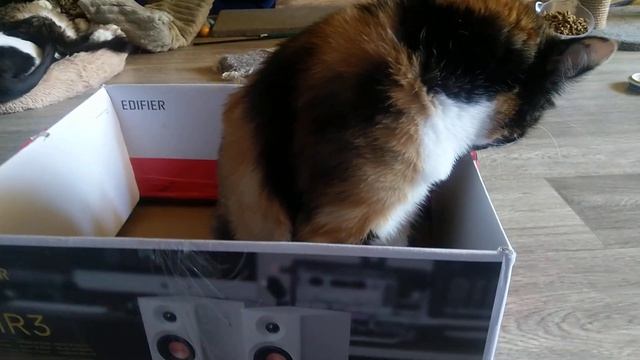 Новое место для исследования