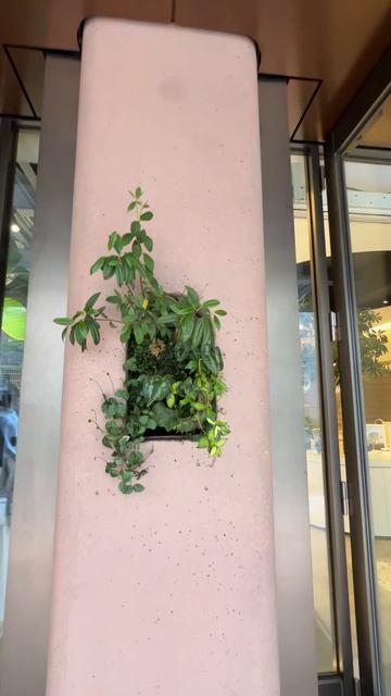 Уличное озеленение в Токио🍃