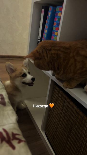 Каждый день умиляюсь, глядя на них