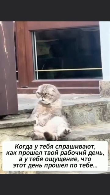 Пятница — день тяжёлый 😄#18
