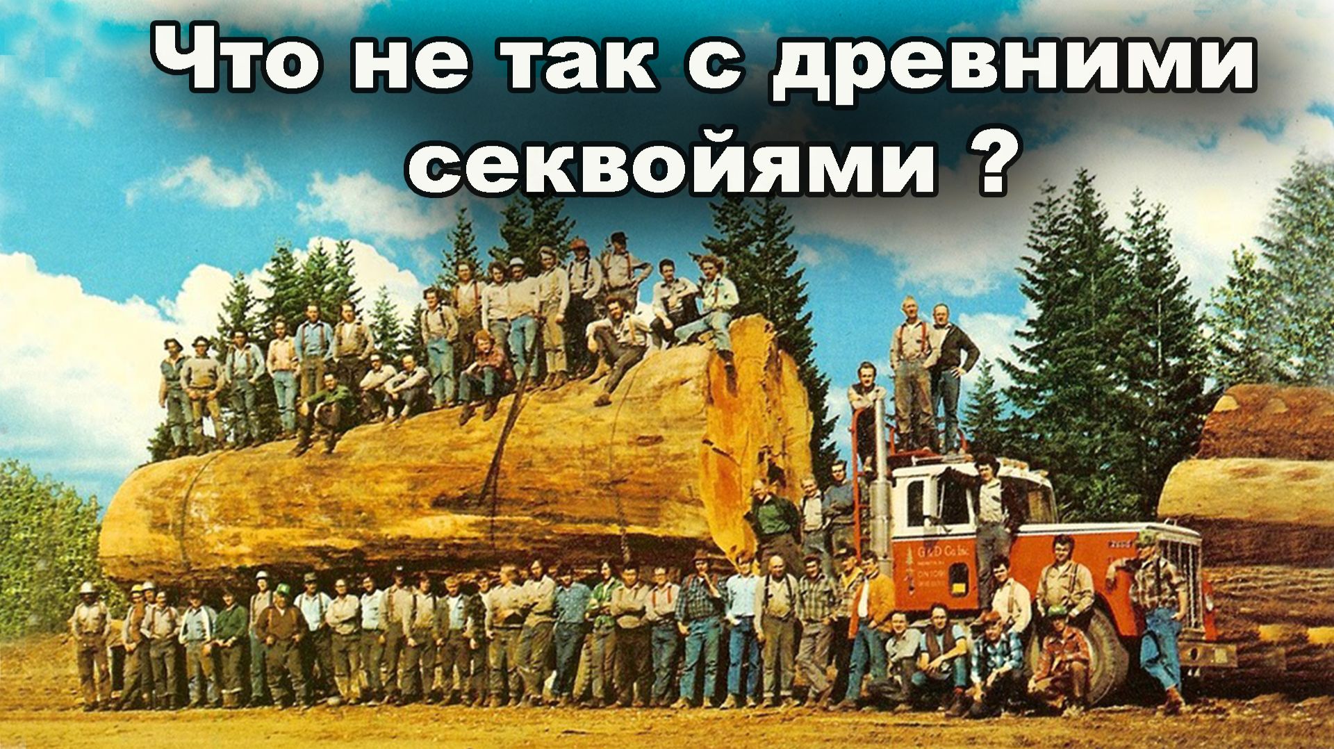 Что не так с древними секвойями?