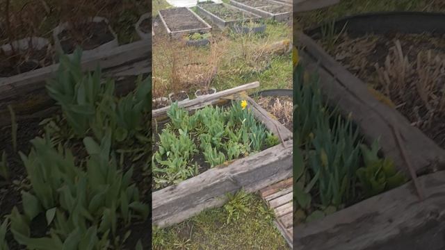 Для Дачников.