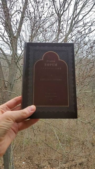 Автор: старец Ефрем Аризонский. Книга: