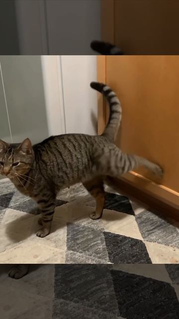 Ааааткрывайте