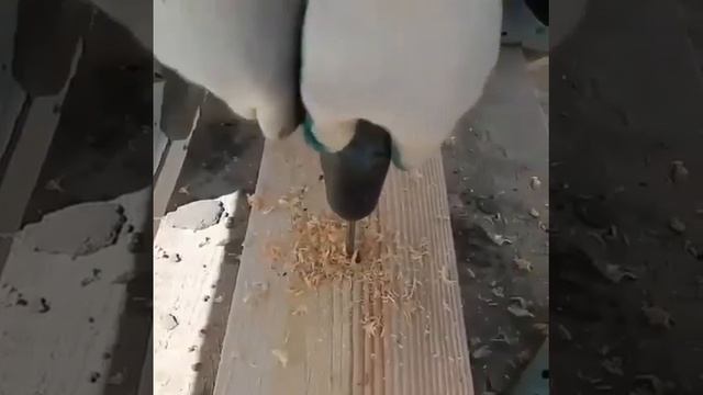 Вы когда-нибудь работали с этим