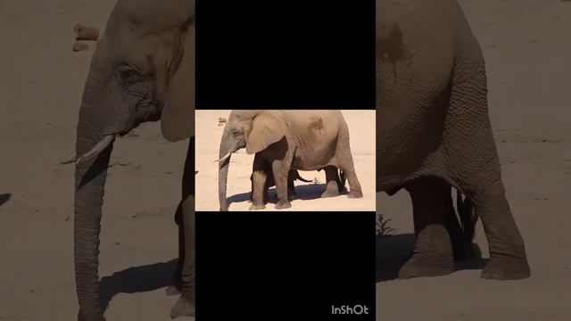 Так рождается настоящая Дружба ☀️✨🌟💫🌞🌞🌞🌞🌞🌞🌞🌞🌞🌞🌞