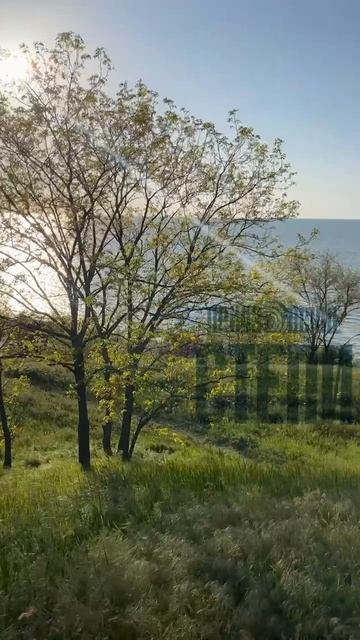 Идеальная весна у моря